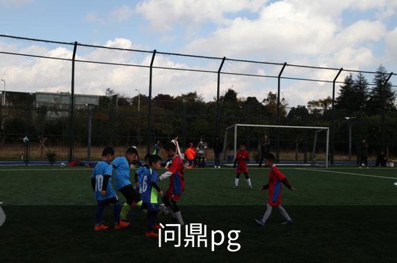 问鼎pg简介